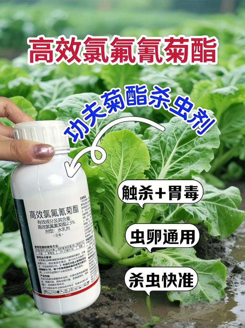 巴音郭楞代生中心:农药对供卵代生妈妈的危害